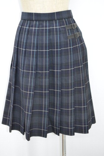  ����ʌ� ��ʌ������a���������w�Z �~�X�J�[�g ����x���g�t�� ��NA0251