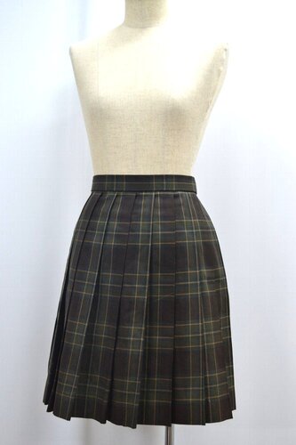  ����ʌ� ��ʌ�����{���ƍ����w�Z �ăX�J�[�g ���n�t�� ��NA0261