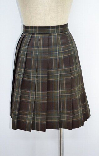  ����ʌ� ��ʌ�����{���ƍ����w�Z �ăX�J�[�g ���n�t�� ��NA0261