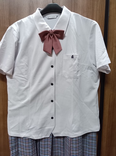 F{ kZ@ĕuEXXJ[gZbg@w胊{@OCSDfUC@W84傫