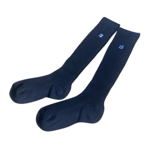 埼玉県 叡明高等学校 私立進学校 ハイソックス その2