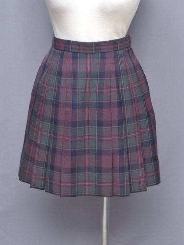 [�s��] ��tsk-5435 �����`�F�b�N�X�J�[�g�i�~���j��