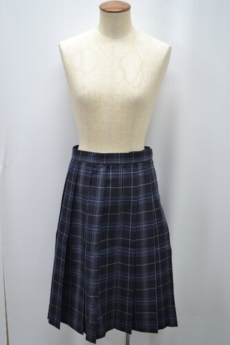  Zs ~wZ ăXJ[g 5613