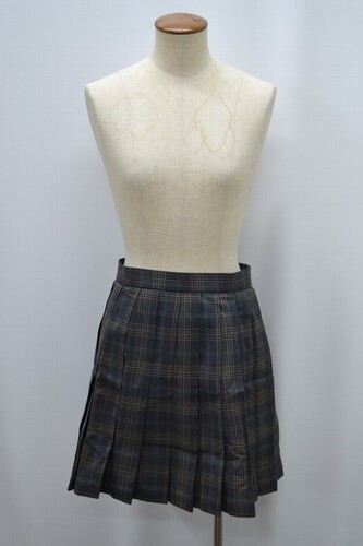  Zʌ ˍwZ ăXJ[g 5619