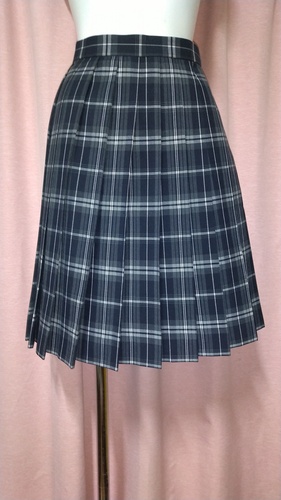 [s] `FbN~jXJ[g Z͂ sĕ