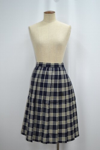  t ʌoϑwtwZ ~XJ[g NA0301