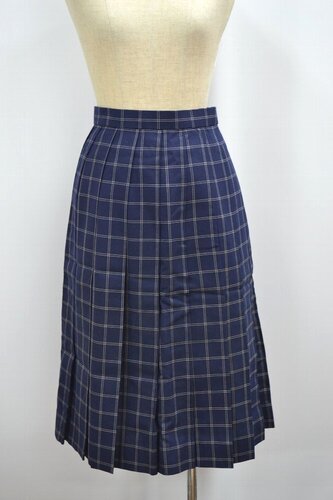  Zʌ ȗRwZEwZ ăXJ[g &0734