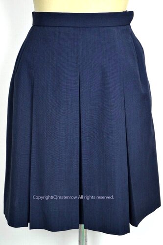  �Z��ʌ��� �v�썂���w�Z �ăX�J�[�g ����5719