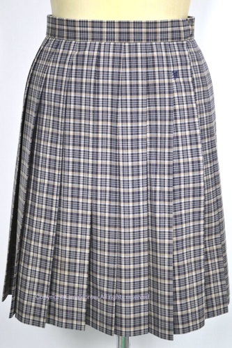  ����ʌ� ��ʌ������썂���w�Z �ăX�J�[�g ��NA0343