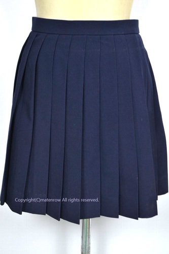  Z_ސ쌧 V鍂wZ ăXJ[g 5729