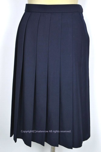  Z錧 yY񍂓wZ ăXJ[g &0785