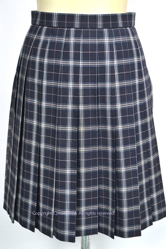  Zs sΐ쒆wZ ăXJ[g 5737