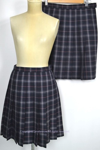  Zsize sNC`FbN~ăXJ[g s 5738