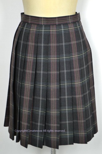  Zt 썂wZ ăXJ[g &0811