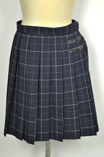  Zsize W78 s ΐ_䍂wZ ăXJ[g 5768