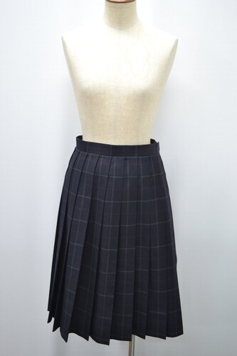  Zs Ȓ쒆w wZ ~XJ[g 5786