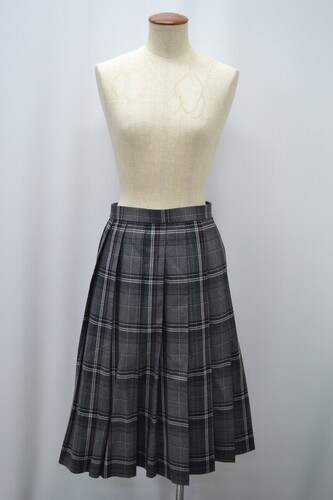  Zsize W74 t ʌoϑwwZ ăXJ[g 5791