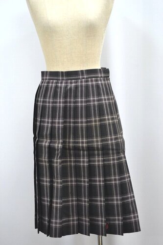  Zt 񏼎ɑwwEwZ ăXJ[g &0820