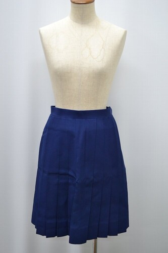  �Z��ʌ� ��z�s�� �~�䒆�w�Z �ăX�J�[�g ����5810