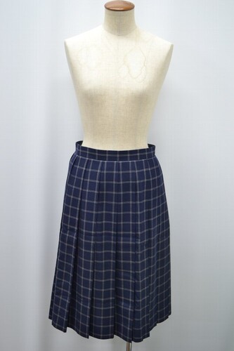  Zsize ʌ ȗRw wZ  ăXJ[g pX 5801