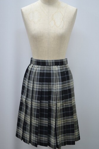  �Z��t�� �������t���w �����w�Z �~�X�J�[�g ����5813