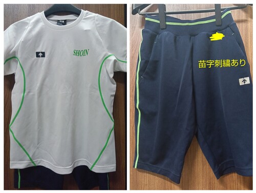 Ɍ _ˏwZ@̑n[tpc@̑͐Vi@TCYL