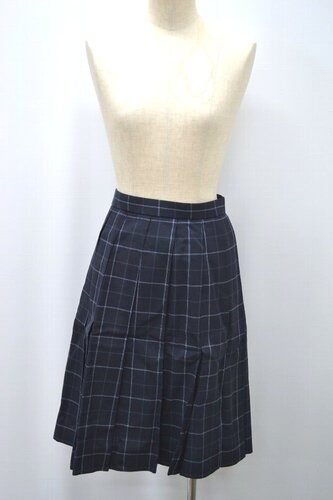  �Z��size W78 ��t�� ���C��w�t���Y�������w�Z �ăX�J�[�g ����5833