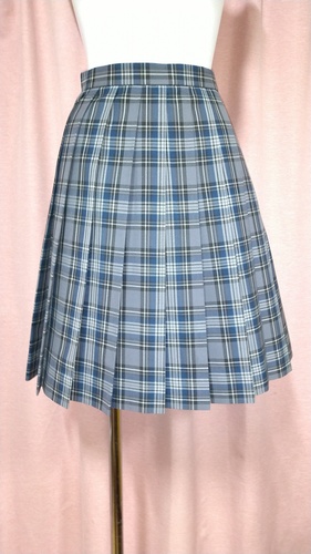 _ސ쌧 Ów@wZ `FbN~jXJ[g ĕ