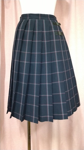 s {̈w`wZ 傫size xgt `FbNXJ[g ĕ