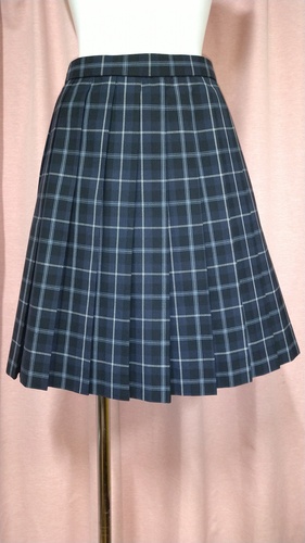 s s ˒wZ i 傫size `FbN~jXJ[g ĕ