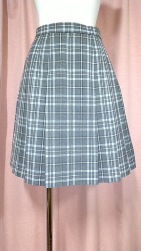 _ސ쌧 w ͌wZ 傫size `FbN~jXJ[g ĕ