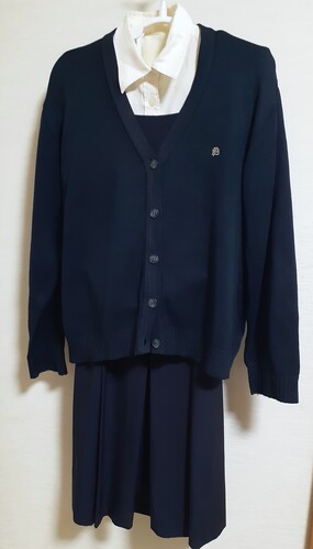  傫 L _ސ쌧 lԗtwZEwZ J[fBK ~Wp[XJ[g