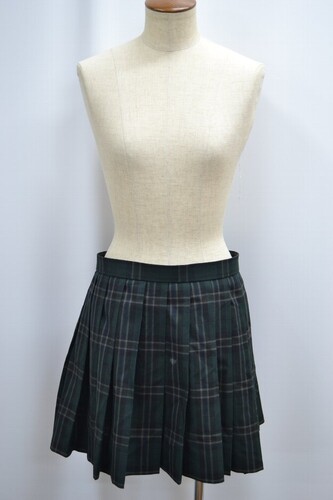  Zsize ʌ OwZ ăXJ[g 5843