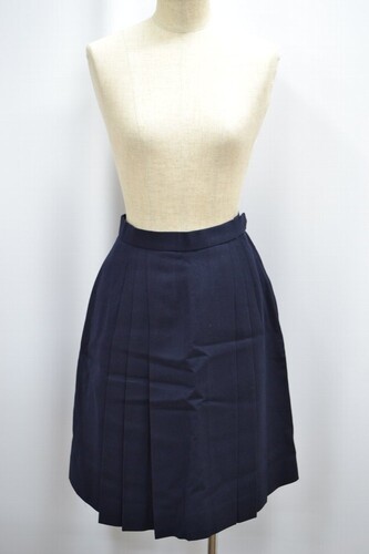  Zs {wLRqwZ ~XJ[g nt 5845