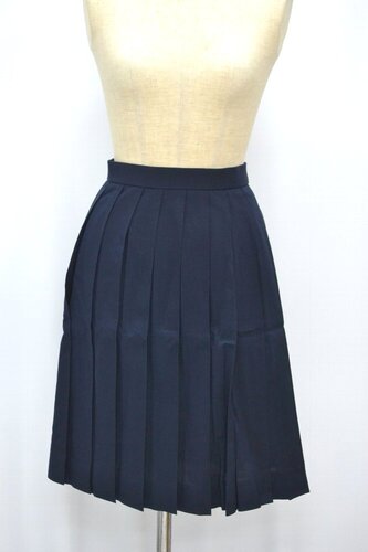  Z錧 ΍ۑwwZ ăXJ[g &0886