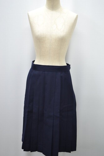  �Z�É��� �l���s�� �k�����w�Z ���v���[�c �~�X�J�[�g ����5854