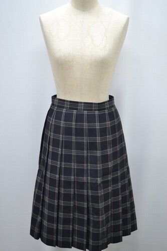  �Z�����s ���旧 �u����l���w�Z �ăX�J�[�g ����5862