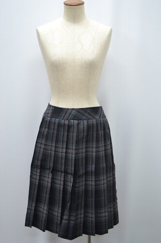  �Z�s���N�n �`�F�b�N�� �ăX�J�[�g �s�� ����5866