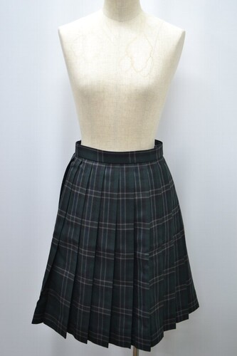  �Z��ʌ��� �O�������w�Z �~�X�J�[�g ����5869