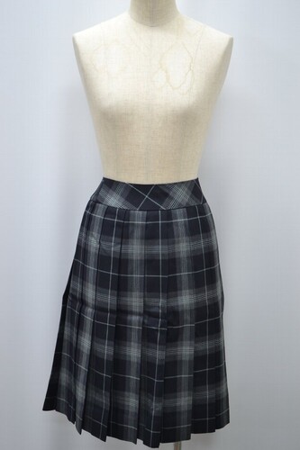  �Z��size �����s ���H�w�����w �����w�Z �~�X�J�[�g ����5873