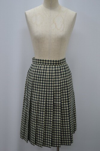  �Z��ʌ��� �����������w�Z �ăX�J�[�g ����5881