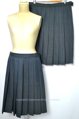  Z W81 t 䍂wZ ~ăXJ[g 5891