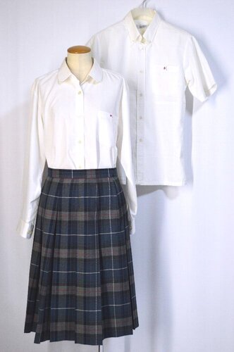  傫 s mڒwZEwZ uEX uEX ~XJ[gT5027