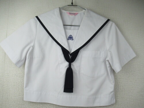 F{ 6138@220@rOw ăZ[[㒅 ^Ct