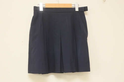 _ސ쌧  򐼍wZ q ĕ XJ[g 