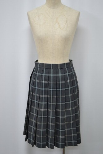  Zʌ ΍wZ ăXJ[g 5941