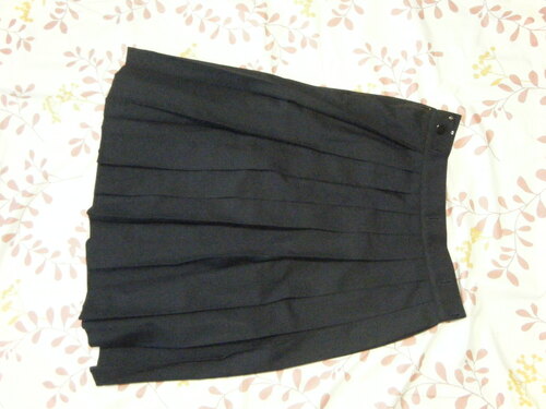  ��t���@�s��s�@�������q�Z�@�a�m���{�䏗�q���w�Z�����w�Z�@�~�X�J�[�g�@�~���@1�_