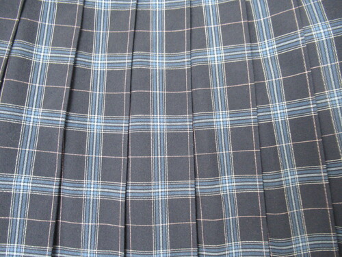 [s] 6233@410@傫ȃTCYIăXJ[g KANKO {F{sN `FbN