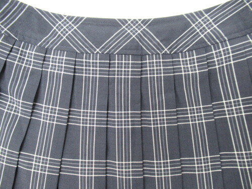 [s] 6249@310@傫ȃTCYIăXJ[g VARSITYMATE TOMBOW +O[{