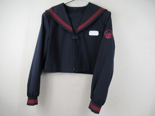  6268@520@傫ȃTCYI͓w ~Z[[㒅 OWbp[